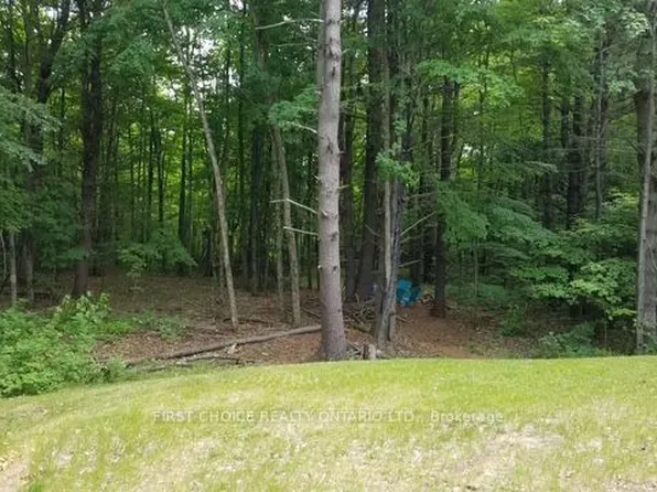 229 Norris Rd, Tay Valley, ON K7H 3C6