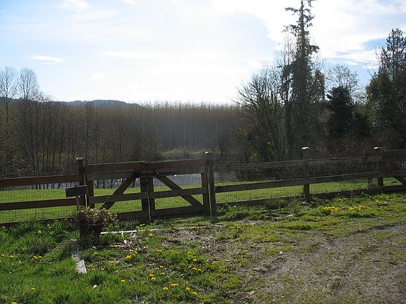 Pasture, lake & forest towards East