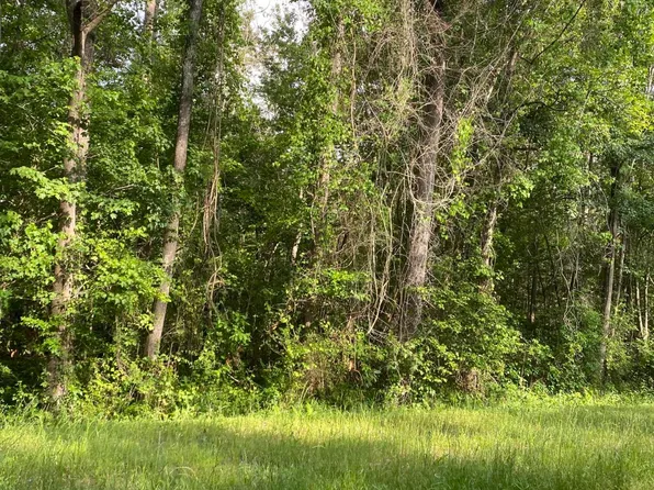 2-2 Homer Nance Rd Lot 2, Evergreen, NC 28438