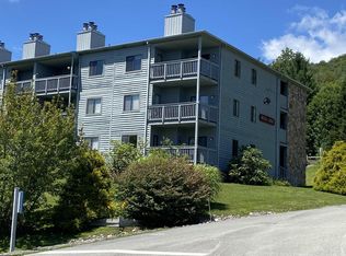 31 Beech Lodge Ct UNIT 253, Davis, WV 26260