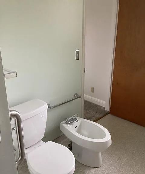 Master toilet and bidet.