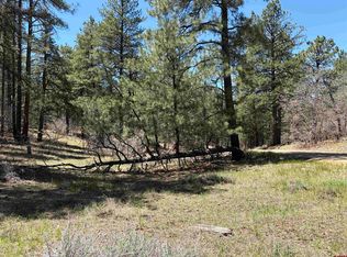 223 Dean's Place, Pagosa Springs, CO 81147