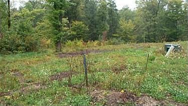 3rd image of 5398 Winding Creek Dr