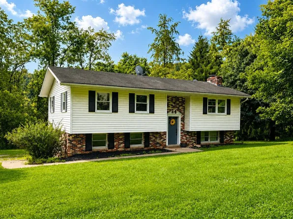 1098 Castleman Run Rd, Valley Grove, WV 26060