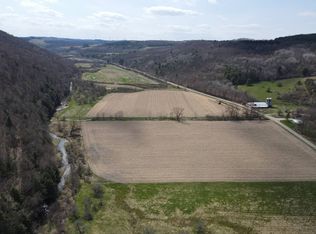 Vl County Rte #9, Cohocton, NY 14826