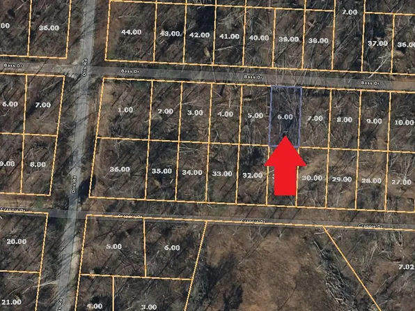 Bass Dr, Buchanan, TN 38222