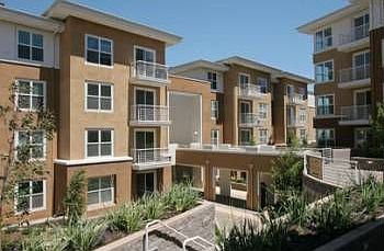 1st image of 301 Crescent Ct APT 3118