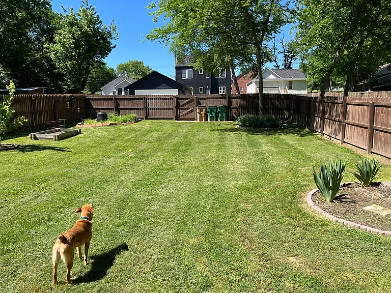 backyard (no furnishing, dog not included)