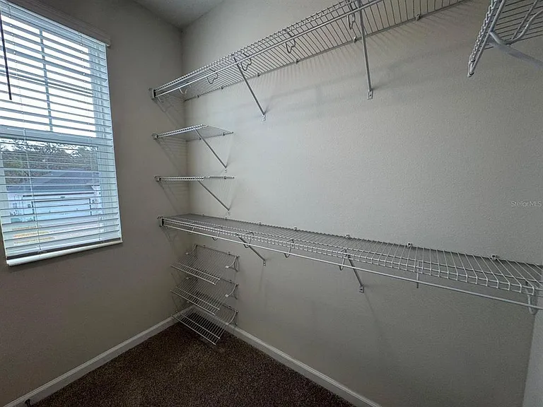 498 Lady Palm St — Photo 19