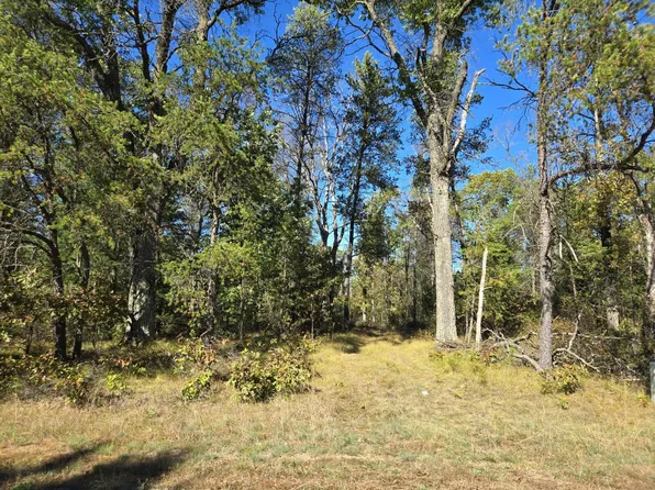 3.35 Acres Brown Deer Avenue Lot 3, Arkdale, WI 54613