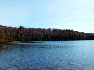 N Murphy Lake Rd, Manistique, MI 49854