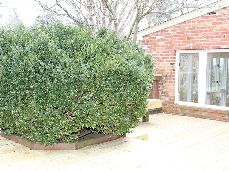 1049 Balls Hill Rd — Photo 77