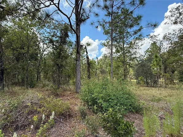 Deer Park Hts SW Lot 17, Dunnellon, FL 34431