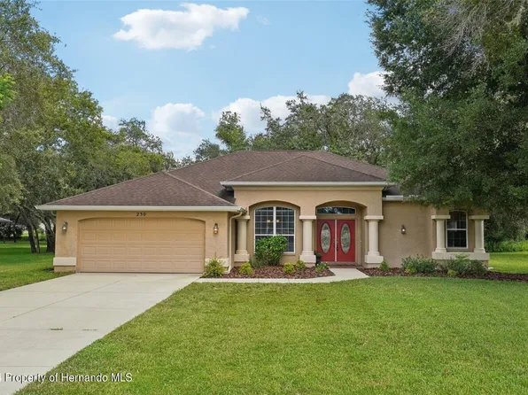 230 Forest Wood Ct, Spring Hill, FL 34609