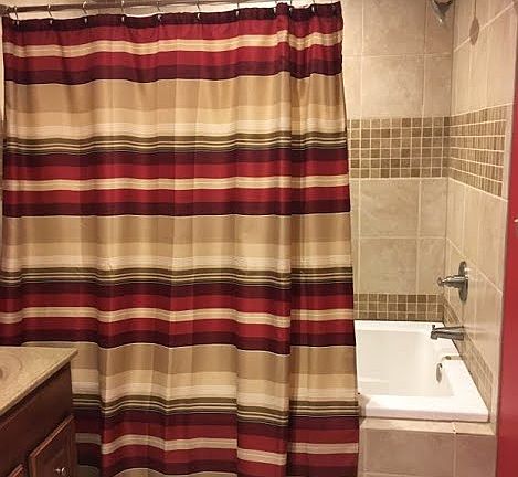 Master Bathroom Shower