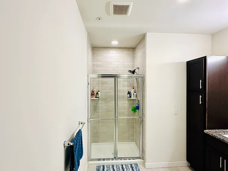 Master Bathroom View 2