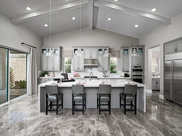Rocco Plan, Cactus Bloom at Summerlin