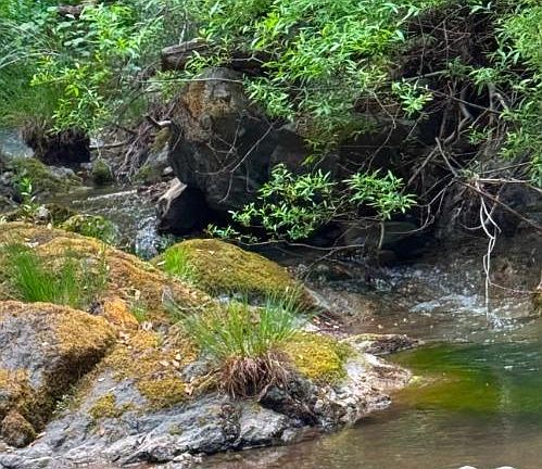 5th image of 0 O'Uvas Rd