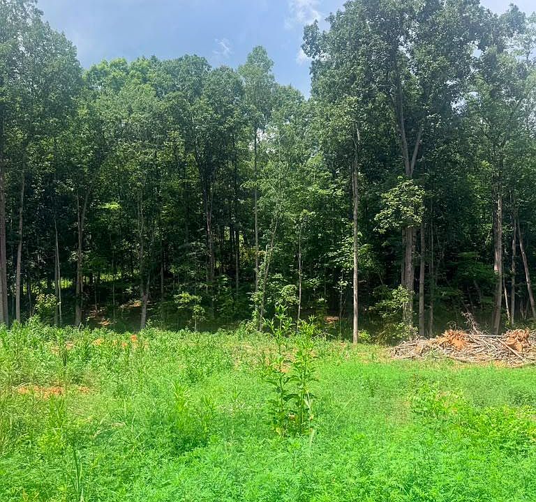 2nd image of 19 Oriole Court