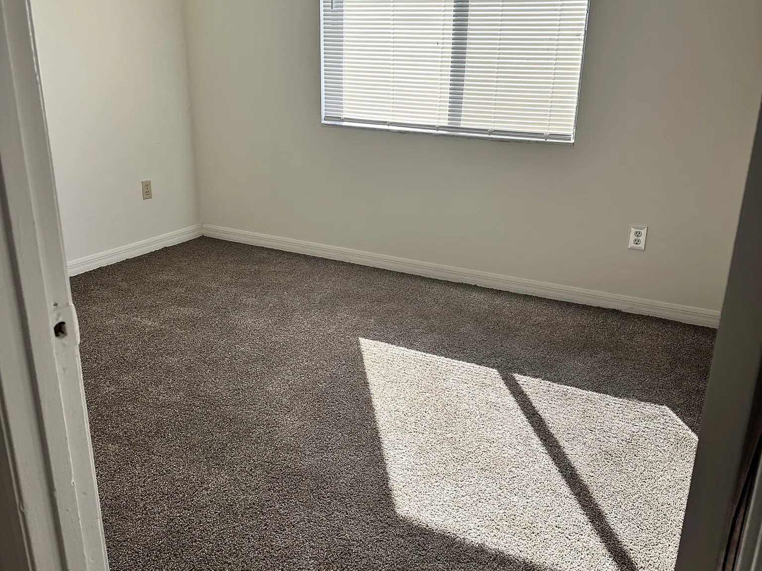 901 Hickory Street - 102 — Photo 3