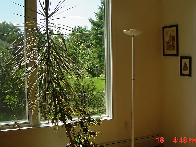 1452 Hanshaw Rd — Photo 2