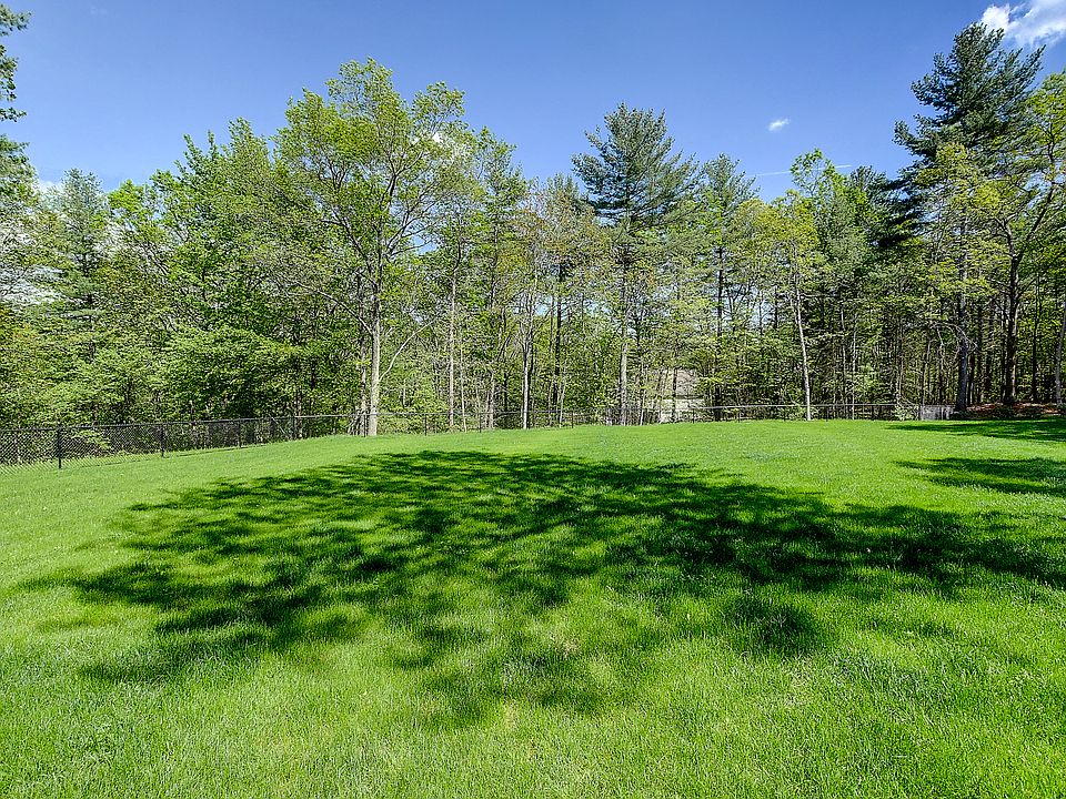 My very big backyard