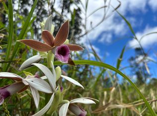 Plumeria St Lot 6732, Mountain View, HI 96771