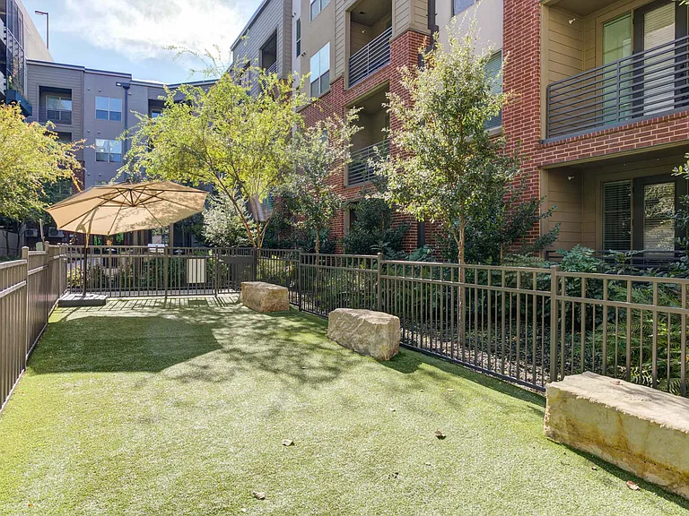 A playful space for pups to run, explore, and socialize.