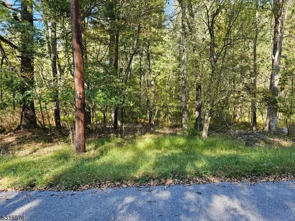 20-22 Beach Dr, Montague Twp., NJ 07827