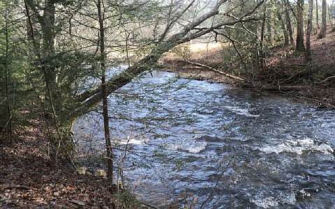 1st image of Cooper Creek Dr