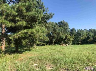 26396 Ponchatoula Dr LOT 97, Springfield, LA 70462
