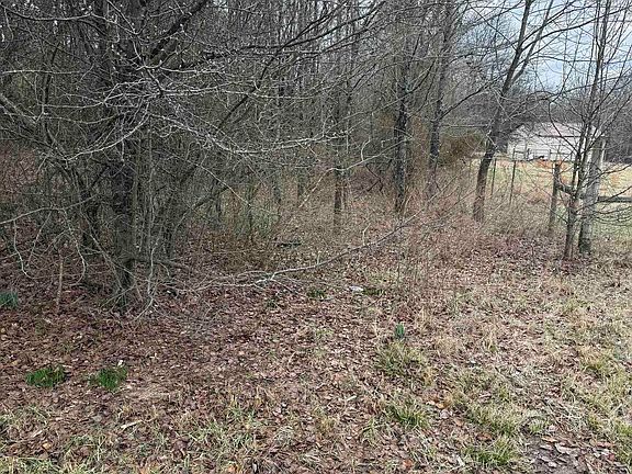 4th image of 17925 Cobb Ln