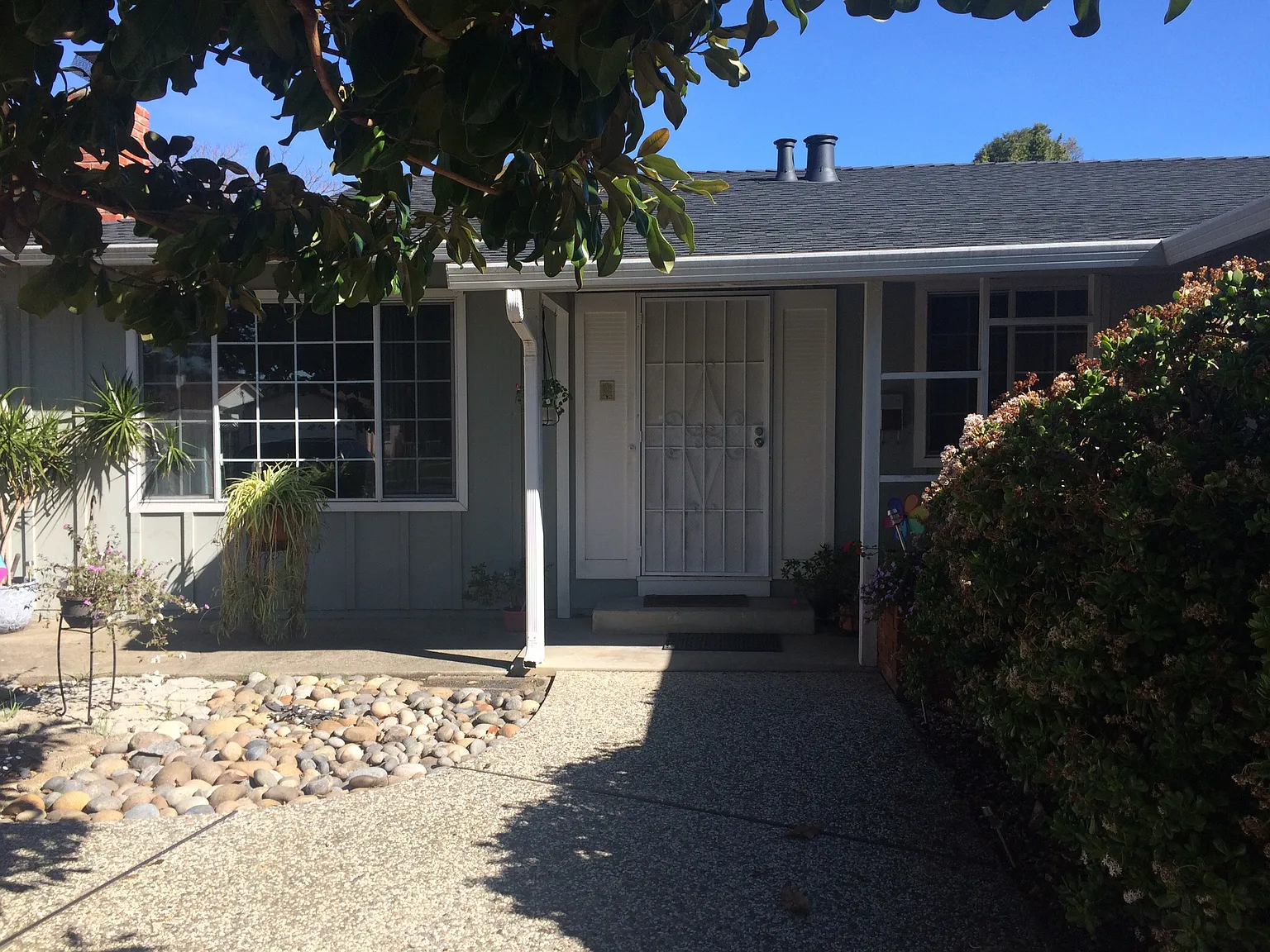36572 Blackwood Dr photo 1