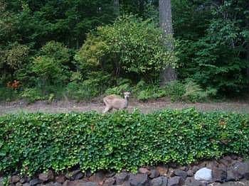 2nd image of 2221 Lakemoor Dr SW