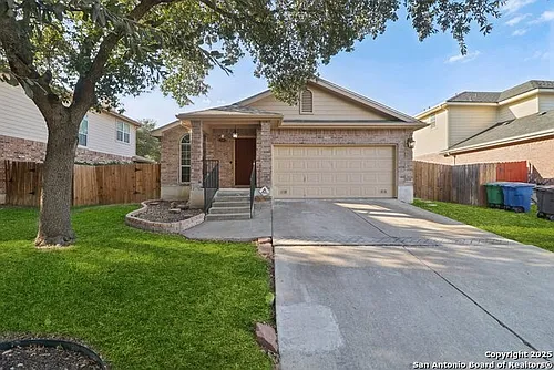 4119 Chinkapin Oak Photo 1
