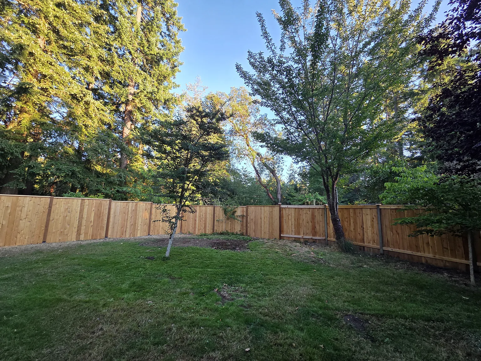 9222 240th St SW — Photo 4