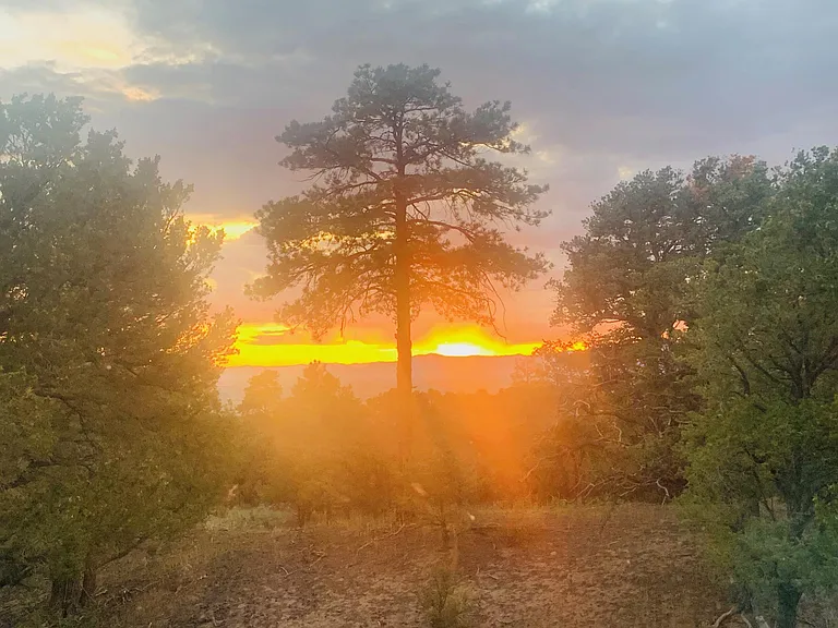 View out of Sun Room and Kitchen