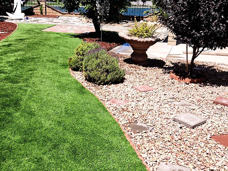 Side /Back yard