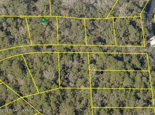 14129 Ricebird Ave, Weeki Wachee, FL 34614