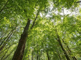 TRACT 7 County Road 4221, Frankston, TX