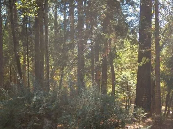 14189 Meadow Dr, Grass Valley, CA 95945