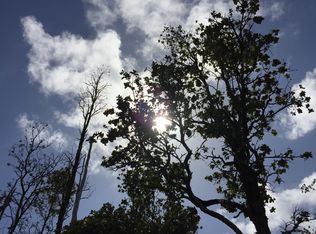 Lot 2918 1st Ave, Keaau, HI 96749
