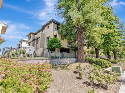 1113 Trinity Ln, Palo Alto, CA, 94303