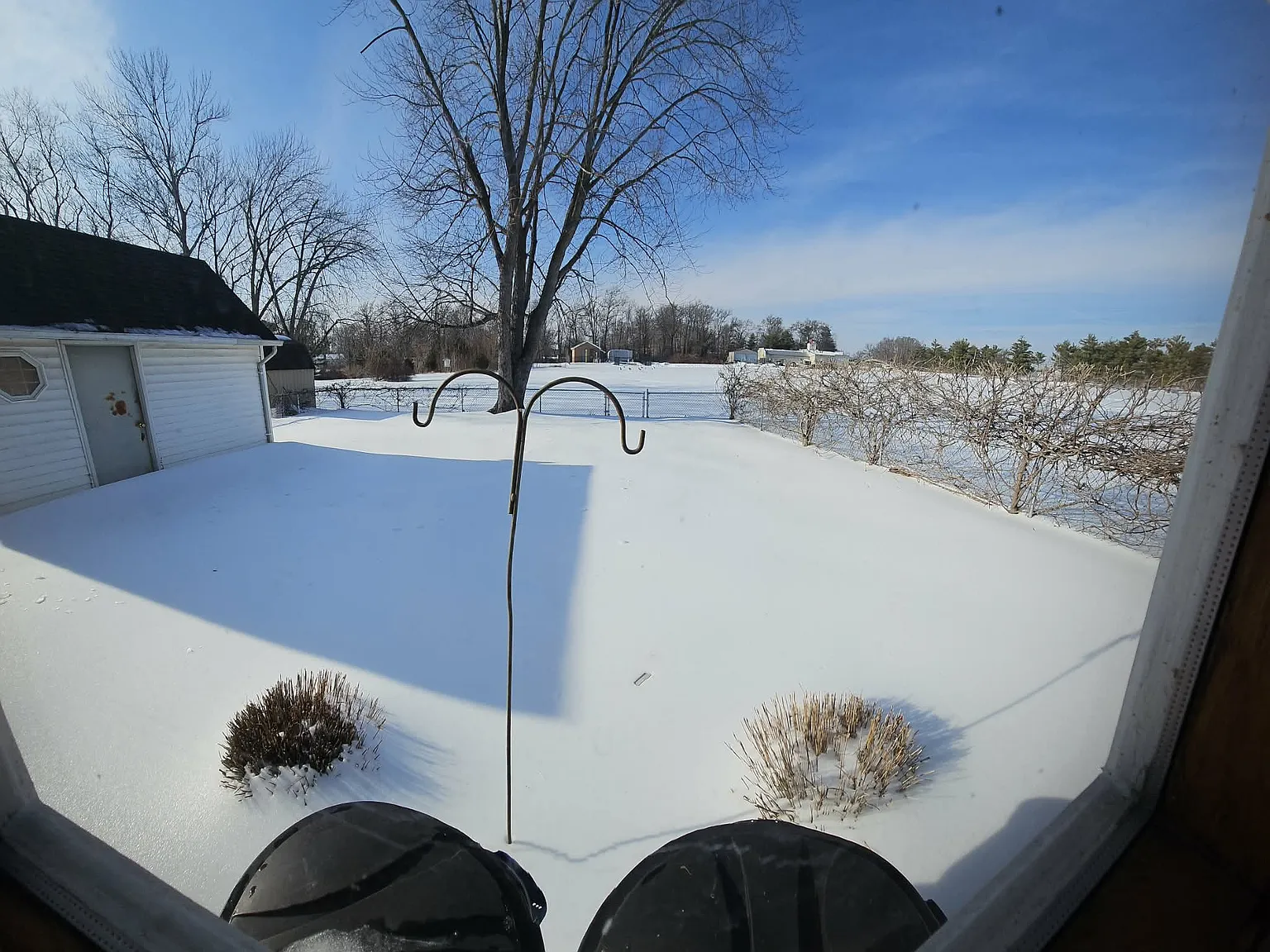 3 bed, 1.5 bath, 1080 sqft, $1,800 — Photo 4