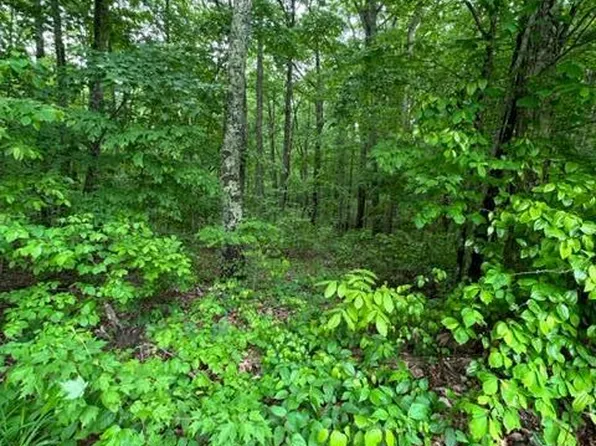 368-369 E Obey Ln, Wilder, TN 38589