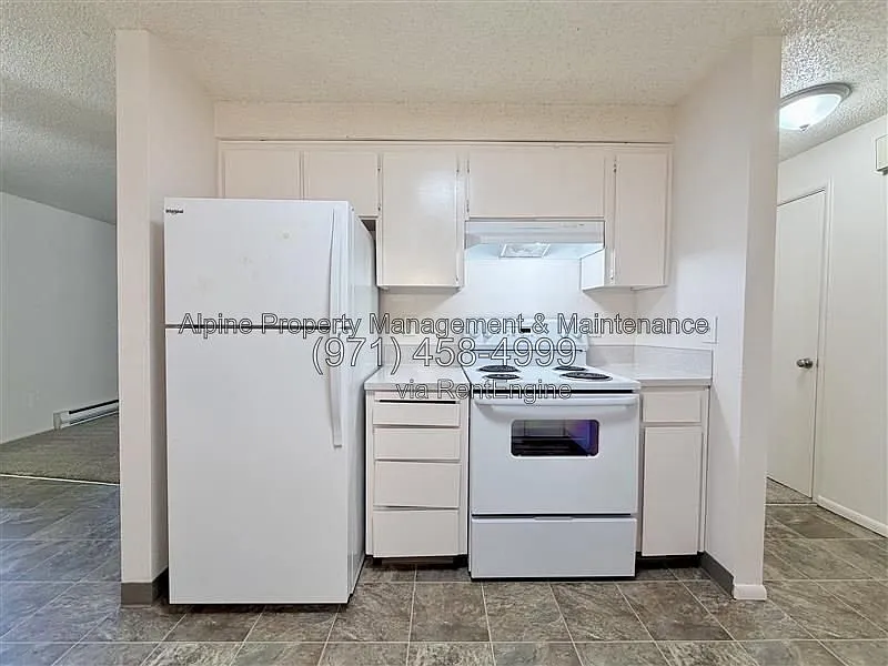 2 bed, 1.0 bath, 900 sqft, $1,325 — Photo 3