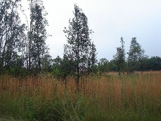 2nd image of Kaloli Dr Lot 3036