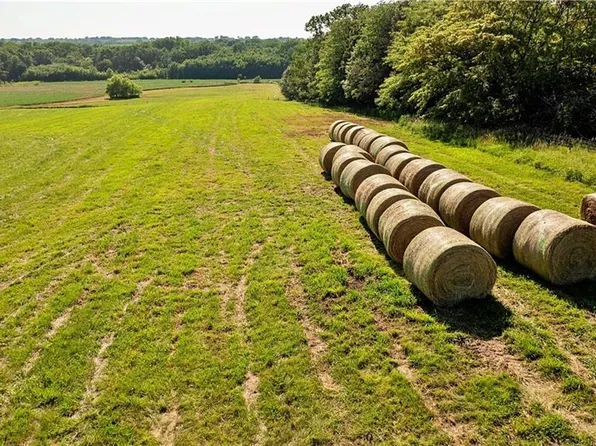 NW Old Cemetery Rd, Stewartsville, MO 64490