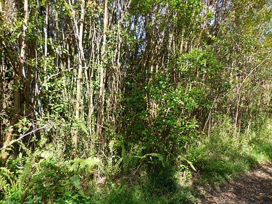 1st image of Road 11 Pulelehua Lot 6007