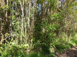 Road 11 Pulelehua LOT 6006, Kurtistown, HI 96760